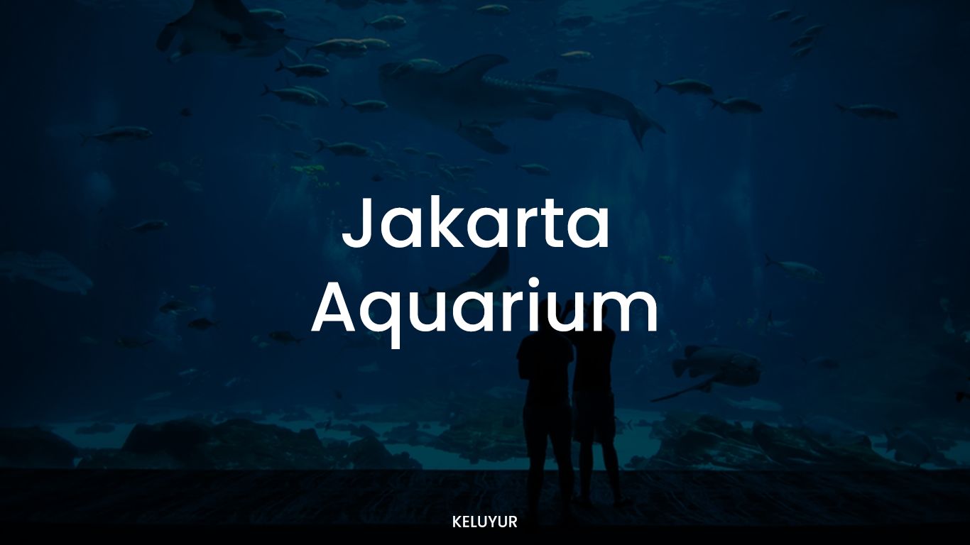 Harga Tiket Jakarta Aquarium