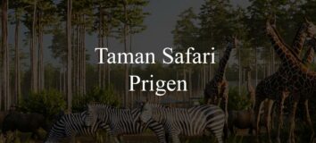 Harga Tiket Taman Safari Prigen