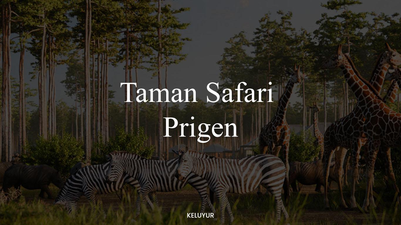 Harga Tiket Taman Safari Prigen