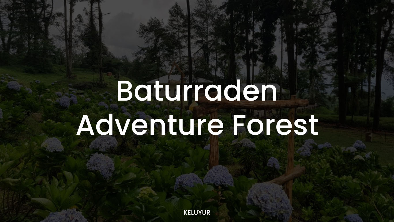 Baturraden Adventure Forest