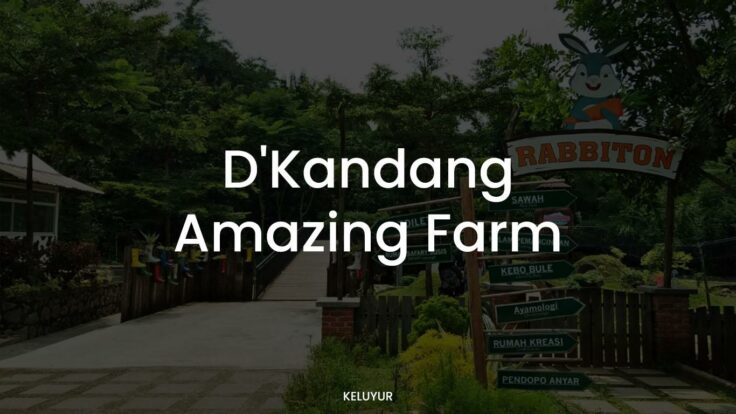 D’Kandang Amazing Farm