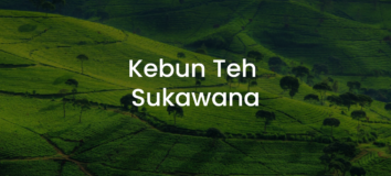 Kebun Teh Sukawana: Aktivitas & Harga Tiket Masuk 2022