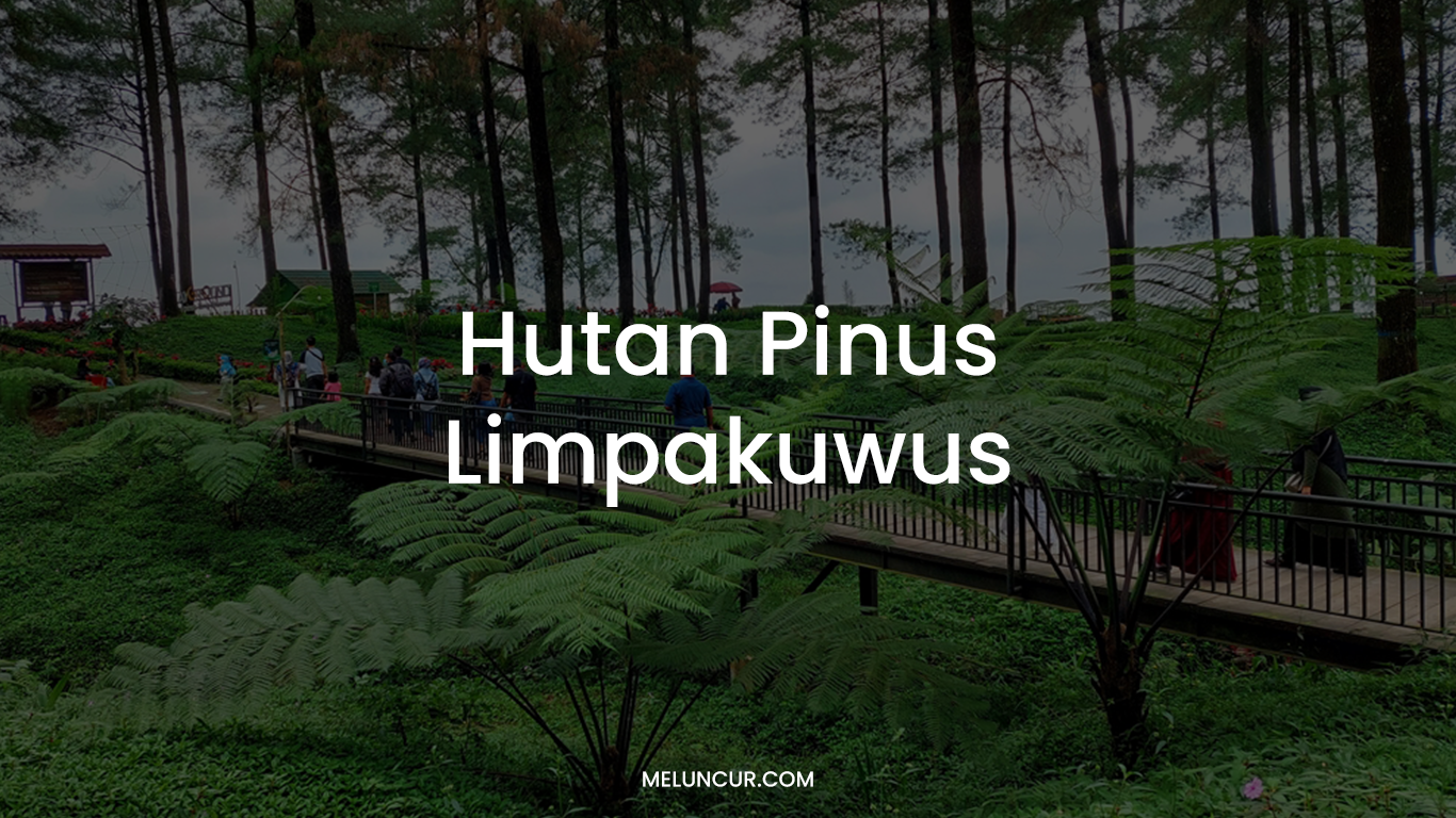 Hutan Pinus Limpakuwus