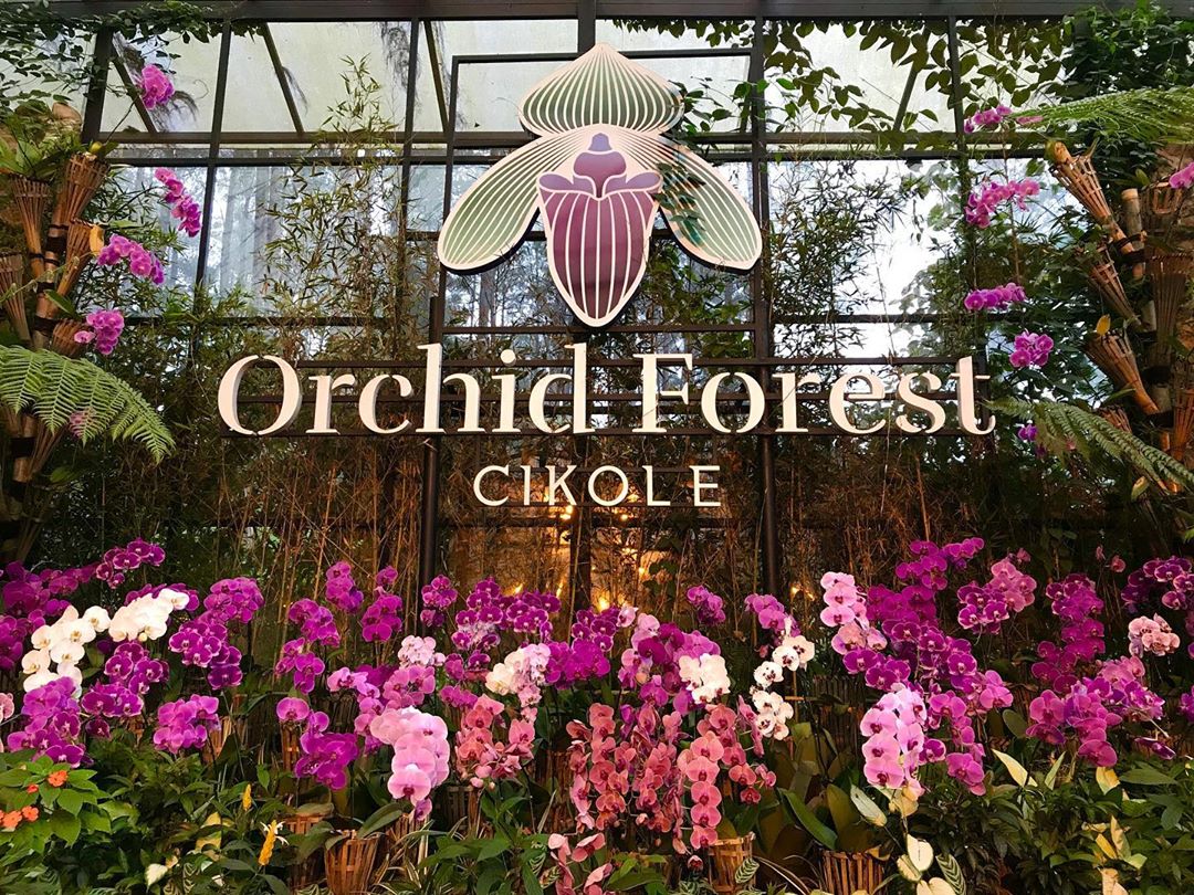 Jam Buka Orchid Forest Cikole